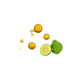 Aceite de Masaje | Bergamota