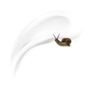 CREMA LIQUIDA BABA DE CARACOL | FACIAL, CORPORAL Y MANOS CON TU PROPIA MARCA