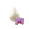 JABÓN PARA MANOS | ANTIBACTERIAL ORQUIDEA CON TU PROPIA MARCA