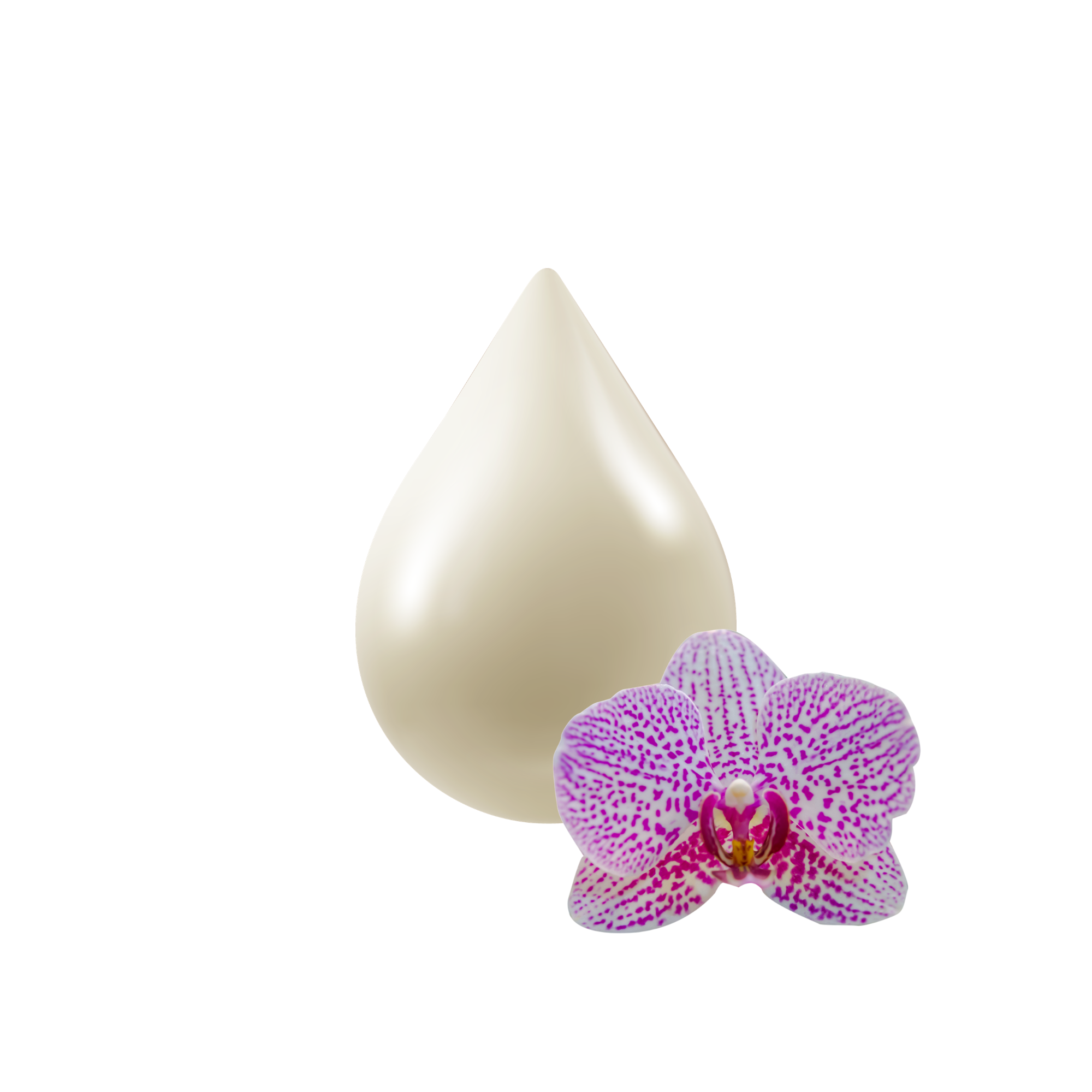 JABÓN PARA MANOS | ANTIBACTERIAL ORQUIDEA CON TU PROPIA MARCA