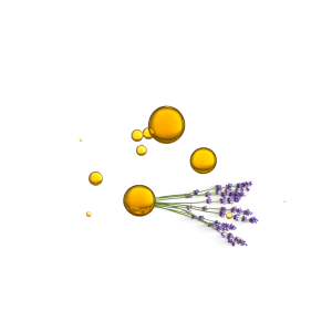 Aceite de Masaje | Lavanda