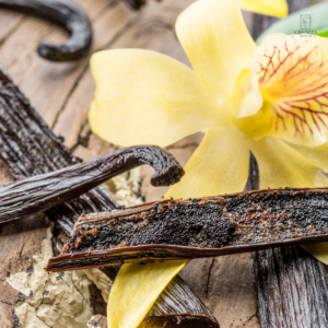 Vanilla
